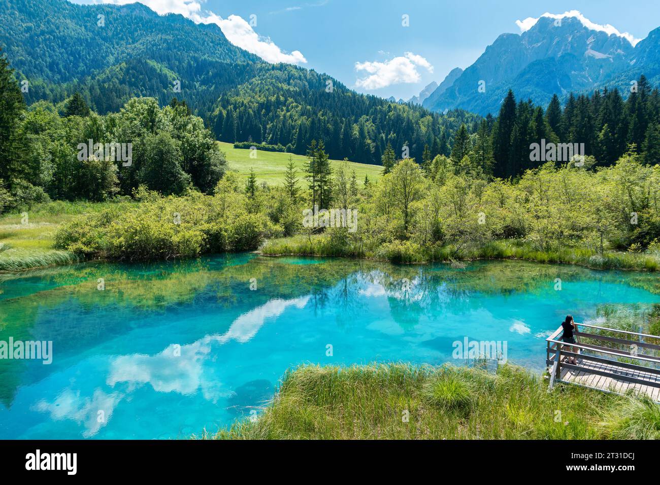 Beau paysage de Jasna lac artificiel entouré par la forêt et les sommets des Alpes en arrière-plan, par une journée ensoleillée en Slovénie Banque D'Images