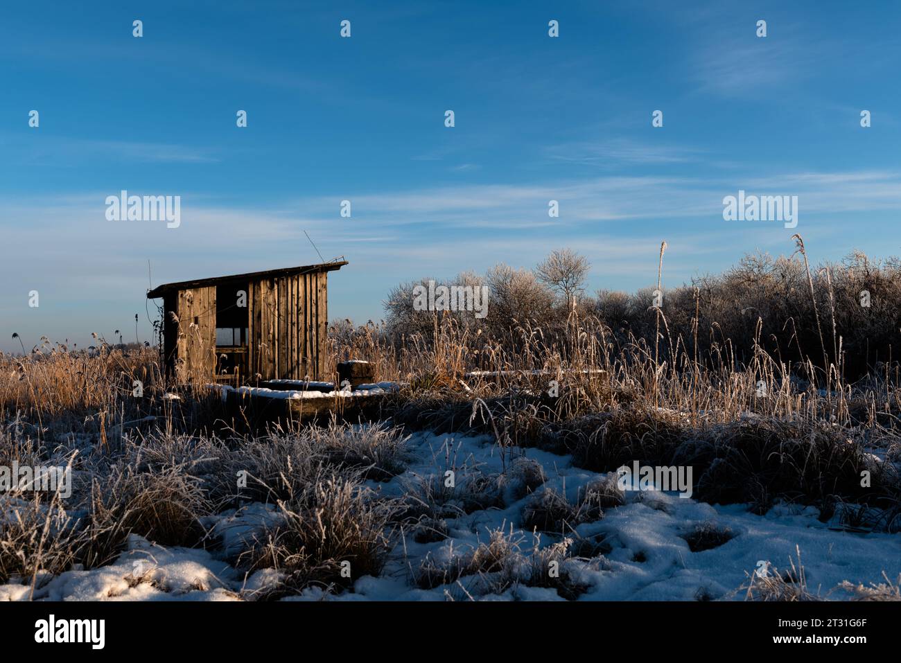 chalet abandonné dans le paysage d'hiver Banque D'Images