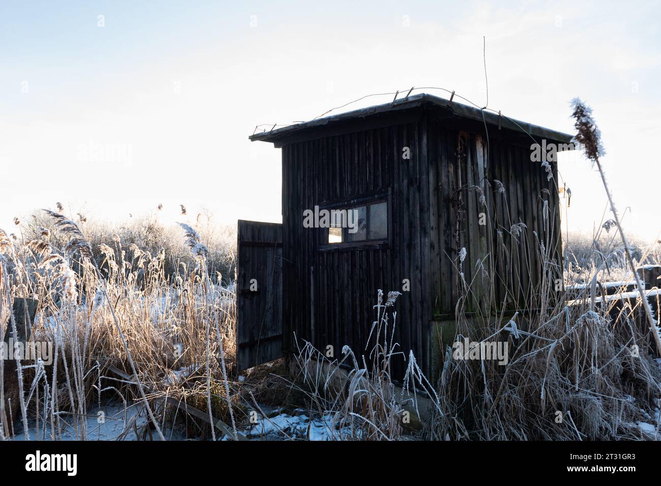 chalet abandonné dans le paysage d'hiver Banque D'Images