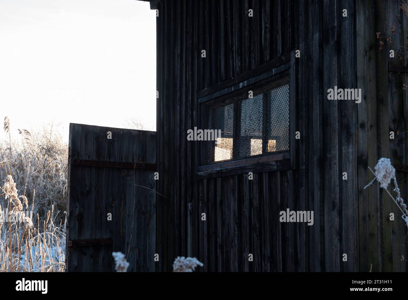 chalet abandonné dans le paysage d'hiver Banque D'Images