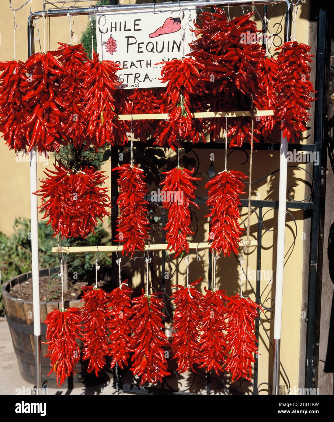 États-Unis. Nouveau Mexique. Santa Fe. Cordes de piments rouges chauds. Banque D'Images