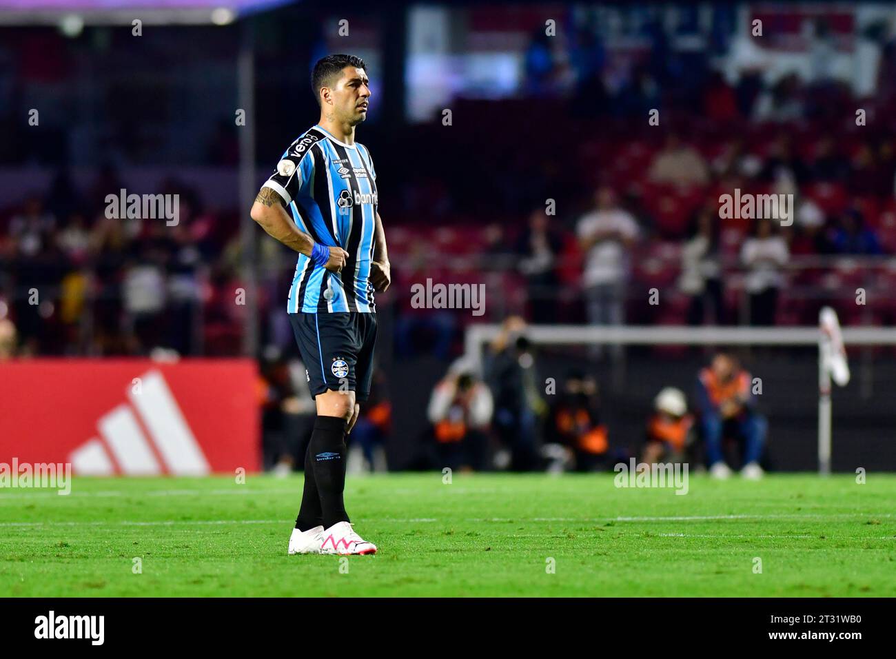 São Paulo (SP), 21 octobre 2023 - football/São PAULO-Grêmio - Luis Suarez de Gremio - Match entre São Paulo et Grêmio, valable pour la manche 28 du Championnat brésilien, qui a lieu au stade Morumbi, zone sud de São Paulo, samedi soir 21. Banque D'Images