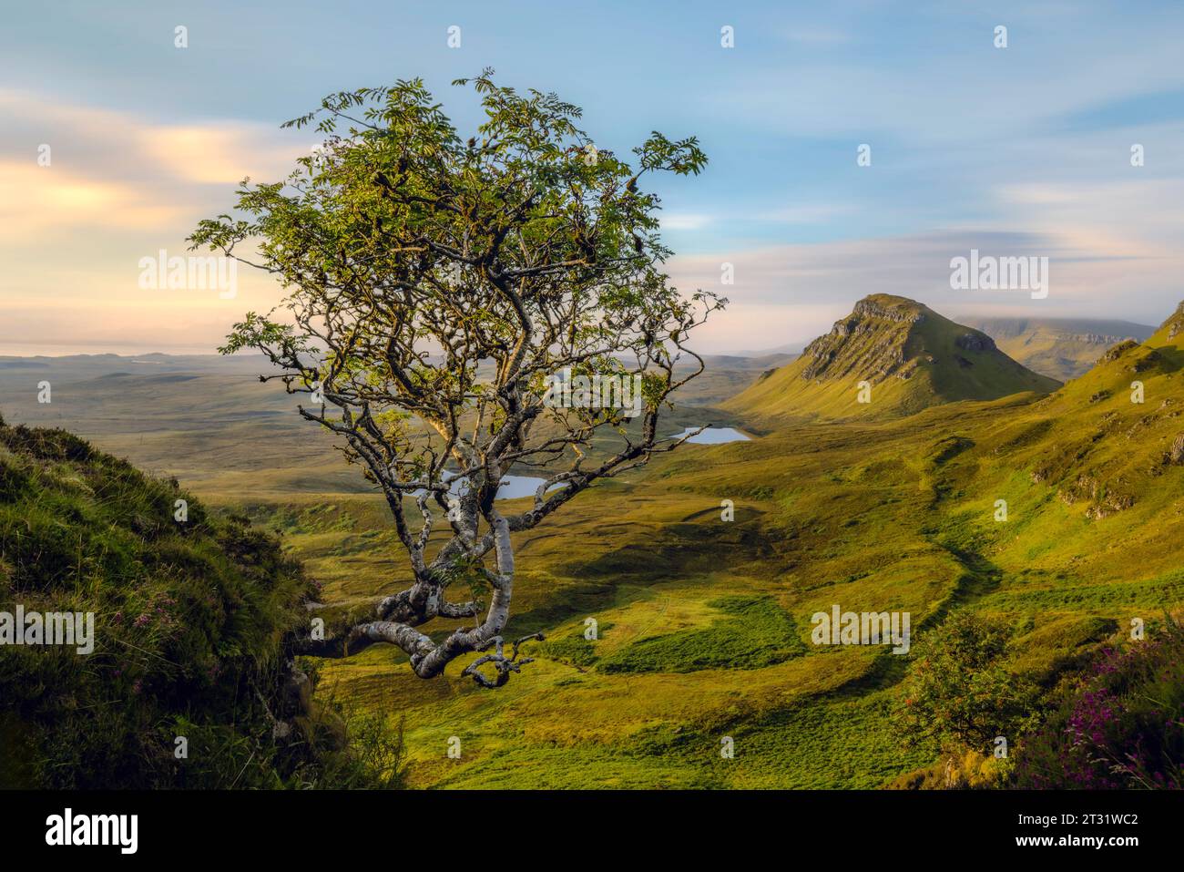 Le Quiraing, sur l'île de Skye, en Écosse, est un plateau de glissement de terrain, formé par une série de glissements de terrain il y a des millions d'années. Banque D'Images