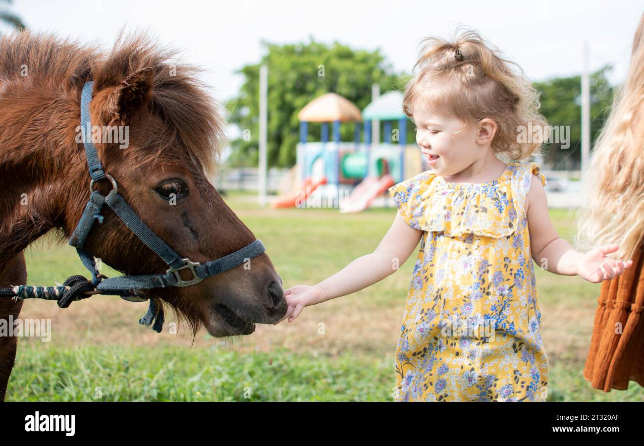 Petite fille nourrissant un poney. Mignon enfant caucasien nourrit un cheval Banque D'Images
