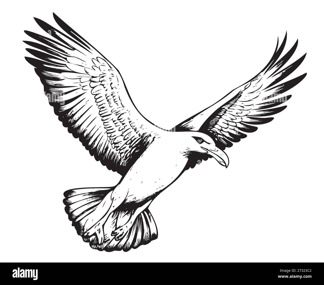 Sea Gull volant esquisse dessinée à la main illustration vectorielle oiseaux Illustration de Vecteur