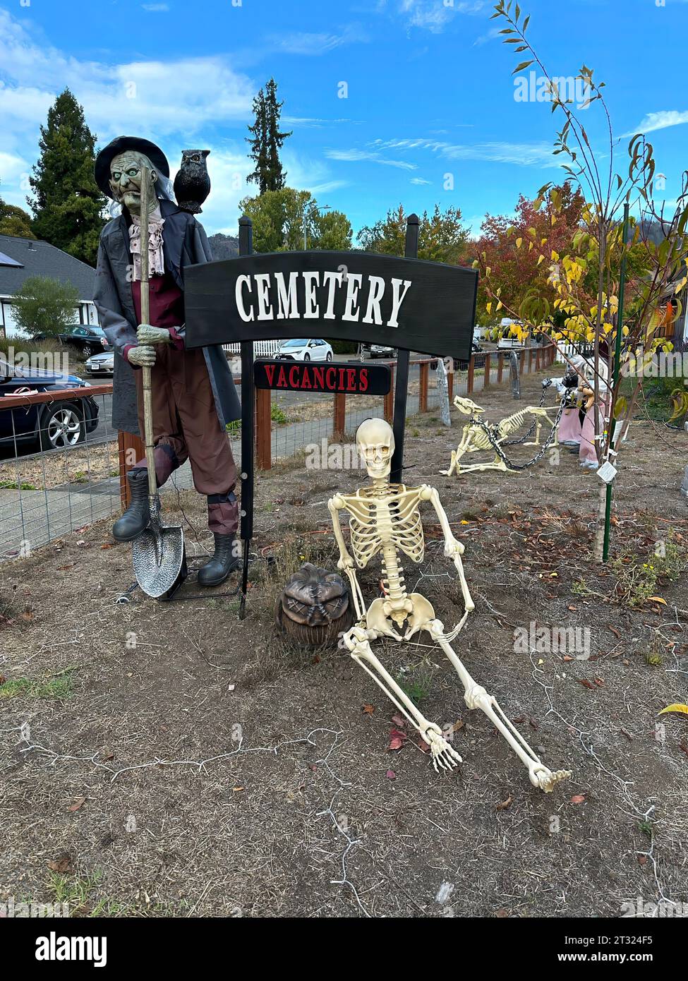 Les décorations d'Halloween sont dans une cour avant. Ils comprennent un panneau de cimetière avec des postes vacants, un squelette humain assis devant le panneau. Une figue effrayante Banque D'Images