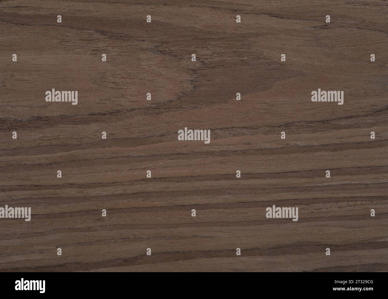 Motif de texture de panneau de bois de noix d'Amérique naturelle Banque D'Images
