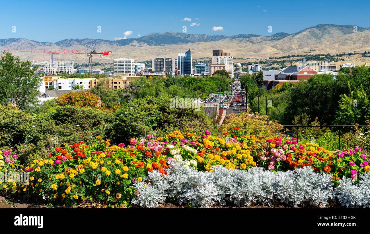 Skyline de Boise Idaho avec des fleurs colorées au premier plan Banque D'Images