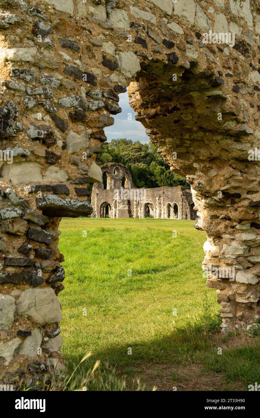Ruines de l'abbaye de Waverley, Farnham, Surrey, Angleterre Banque D'Images