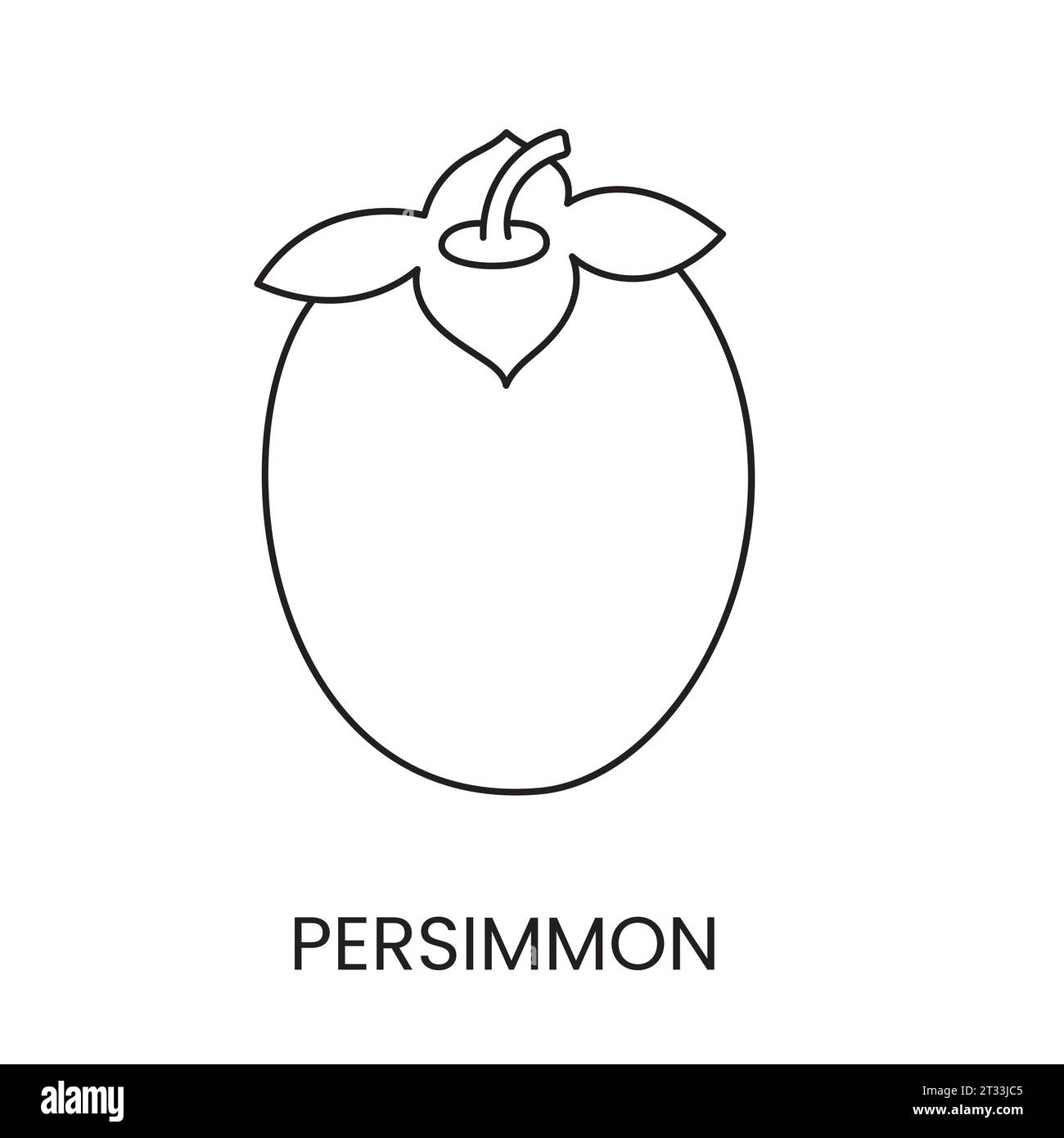 Icône de ligne de kaki dans le vecteur, illustration de fruit. Illustration de Vecteur