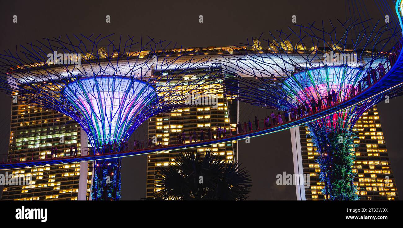 Singapour, Super Trees of Gardens by the Bay Banque D'Images