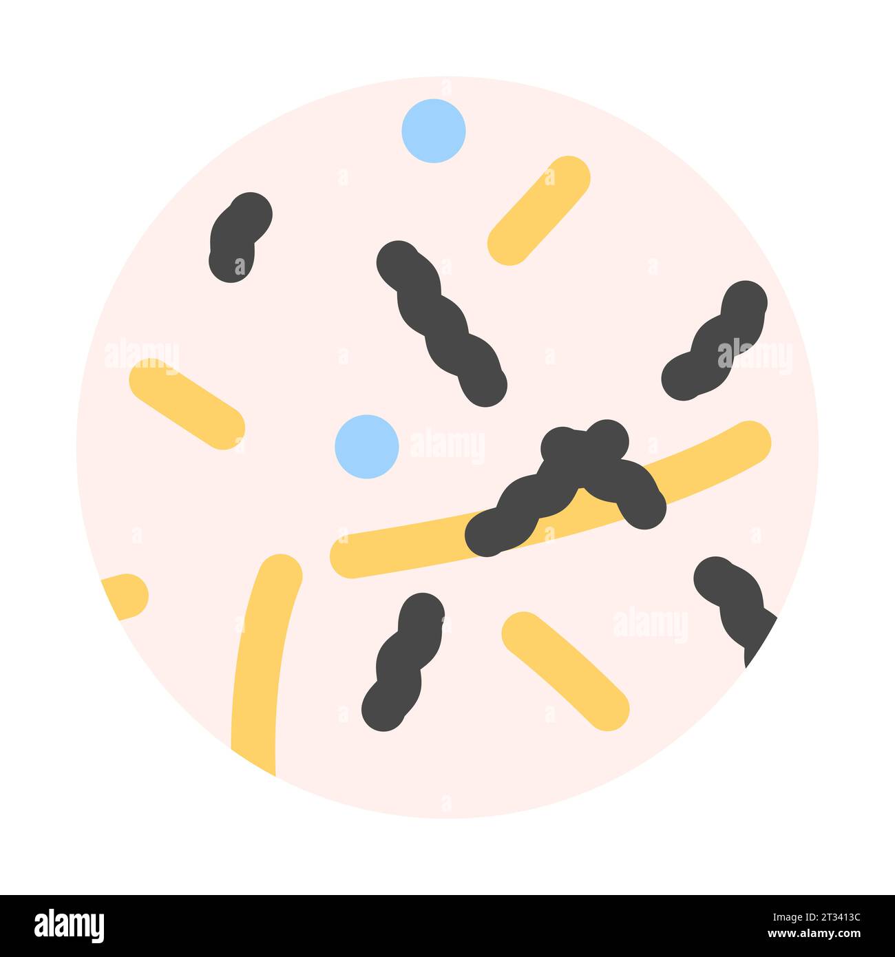 Illustration de la dégradation du collagène chez les peaux âgées et photoendommagées Illustration de Vecteur