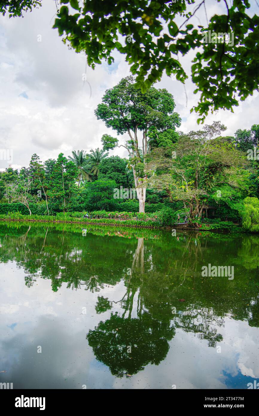 Les Jardins botaniques de Singapour Banque D'Images