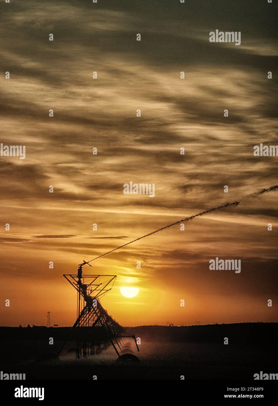 Les cultures sont arrosées tôt le matin juste à l'extérieur de Sterling, CO. Banque D'Images