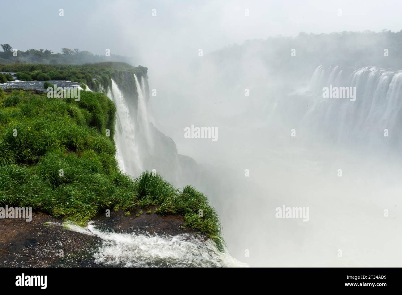 Belle vue sur les cascades de la forêt tropicale atlantique à Iguazu Falls Banque D'Images