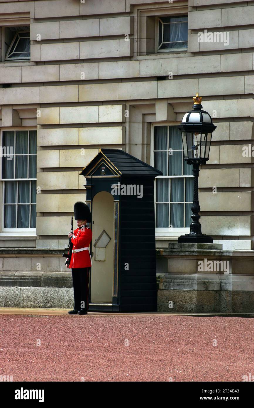 Garde devant le palais de Buckingam, Londres, Royaume-Uni. Banque D'Images