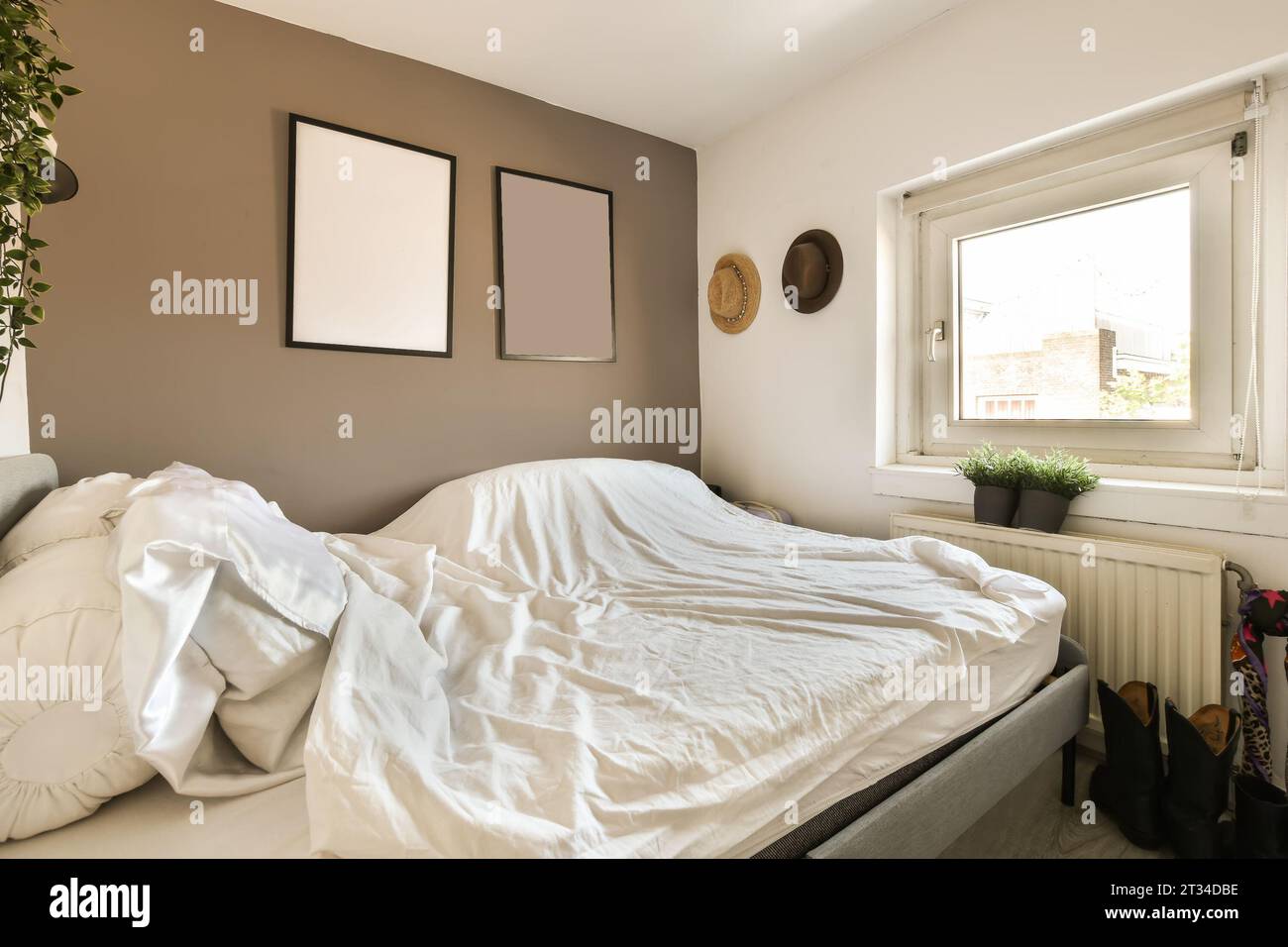 un lit non fait avec des draps blancs et des oreillers devant une fenêtre, à côté d'une plante Banque D'Images