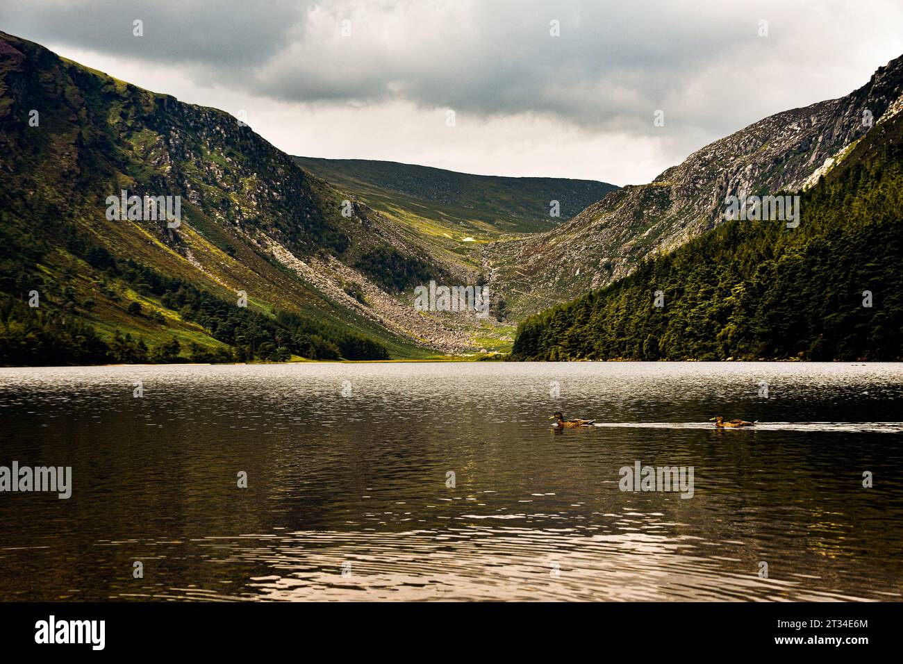 Belle destination touristique, Glendalough Lake dans le comté de Wicklow, Irlande. Banque D'Images