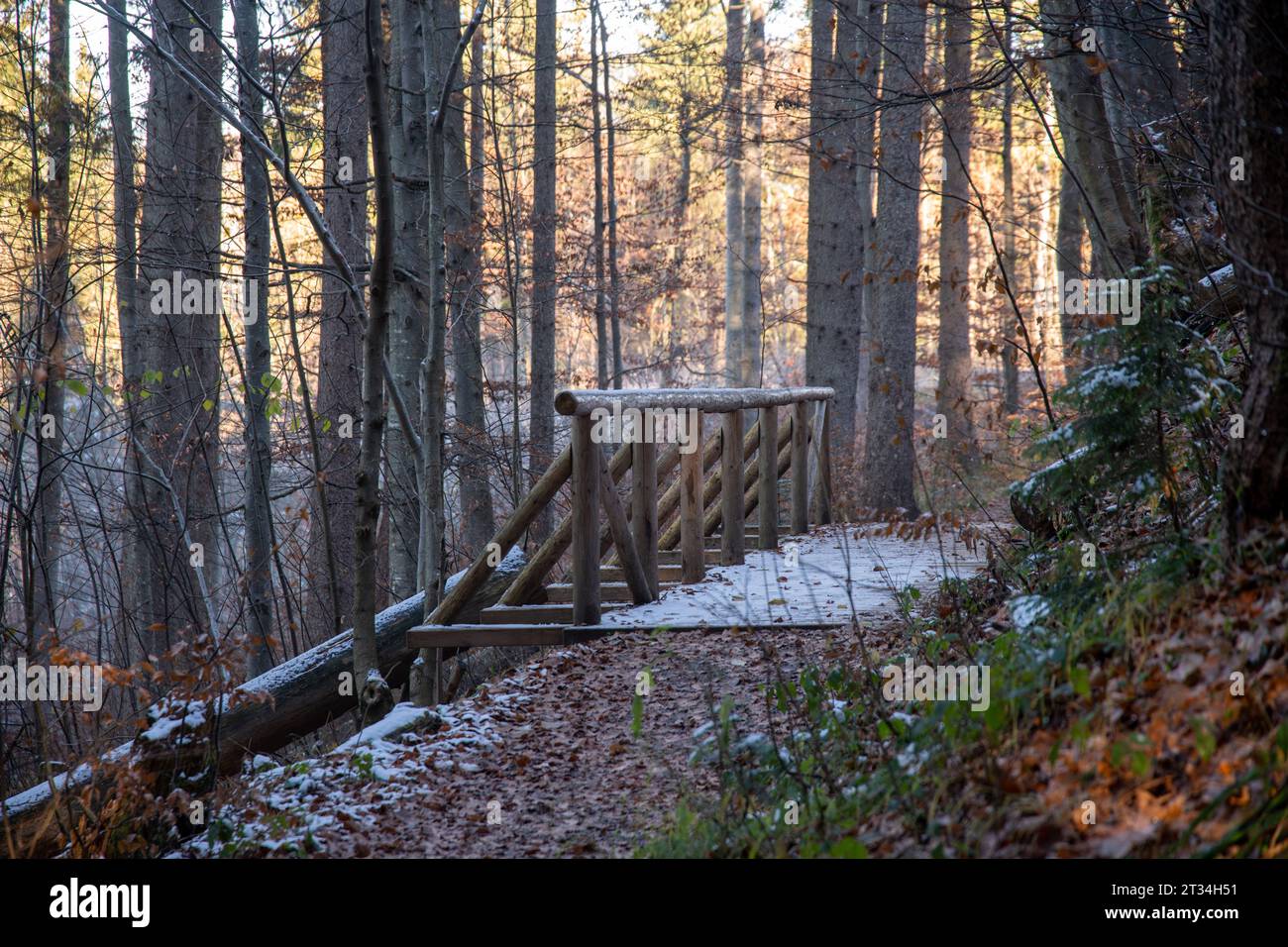 Un chemin forestier avec une passerelle en bois Banque D'Images