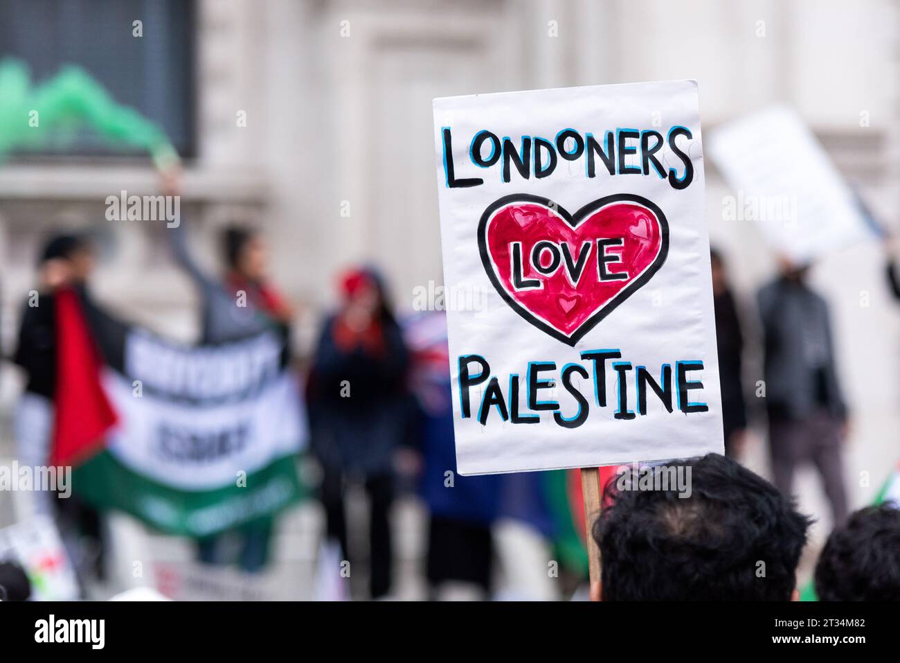 Les Londoniens adorent la Palestine pancarte lors d'une manifestation sur la Palestine libre à Londres suite à l'escalade du conflit en Israël et à Gaza Banque D'Images