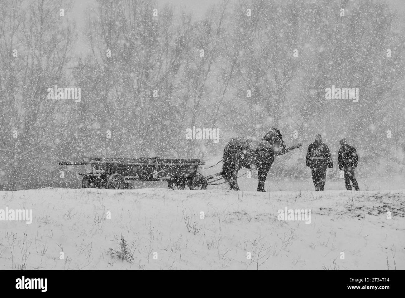 paysage d'hiver avec homme, cheval et wagon dans la neige 8 Banque D'Images