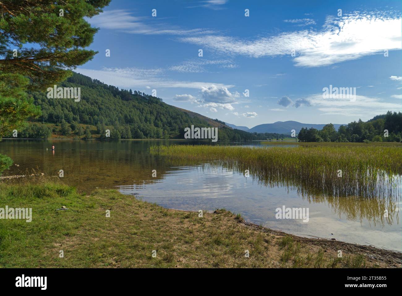 Vue vers le sud sur le magnifique Loch Pityoulish sur la B970 près de Coylumbridge, près d'Aviemore. Parc national de Cairngorms, Highlands, Écosse, Royaume-Uni Banque D'Images