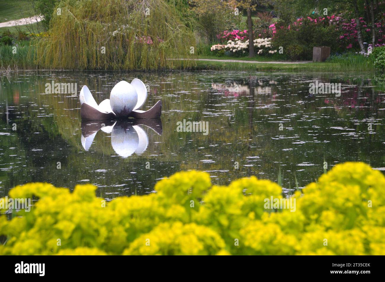 Sculpture flottante de lys reflétée dans le lac Magnolia avec Marsh Spurge au Himalayan Garden & Sculpture Park près de Ripon, North Yorkshire, Angleterre Banque D'Images