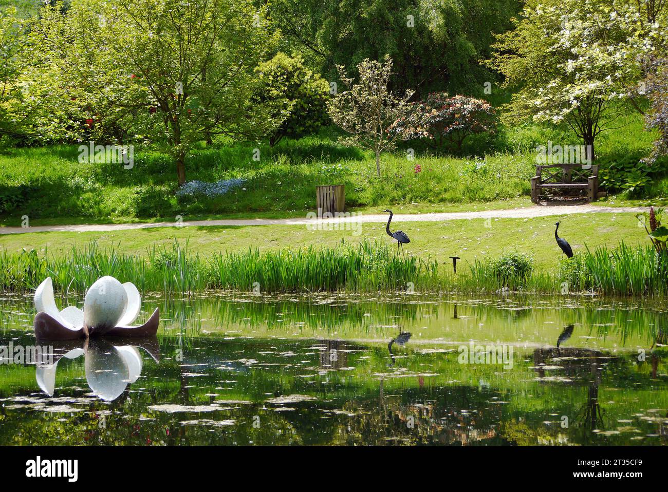 Lys flottant avec Heron & Crane sculptures reflétées dans le lac Magnolia à l'Himalayan Garden & Sculpture Park, North Yorkshire, Angleterre, Royaume-Uni. Banque D'Images