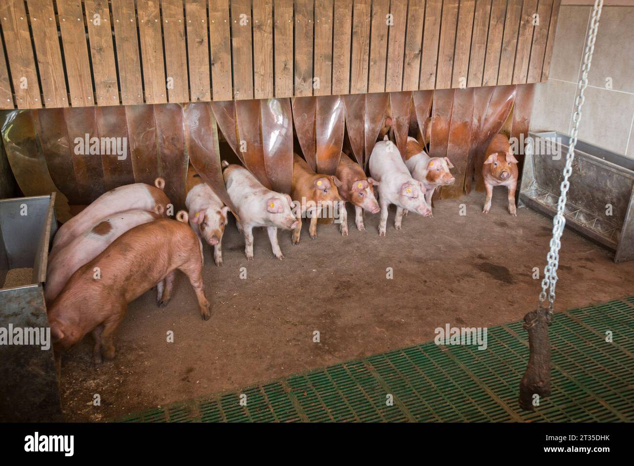 SUR LES TRACES D’ANTONIO GANDI EN CATALOGNE Banque D'Images