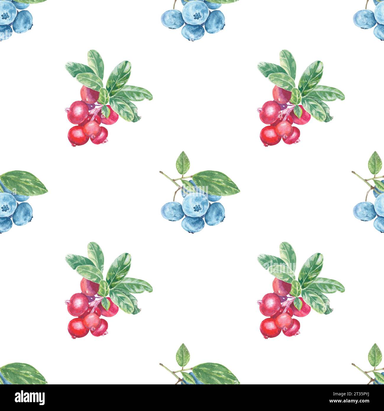 Motif sans couture peint à la main rouge lingonberry et feuilles de myrtille. Elément isolé de baies d'illustration botanique à l'aquarelle. Art pour la conception alimentaire Banque D'Images Motif sans couture peint à la main rouge lingonberry et feuilles de myrtille. Elément isolé de baies d'illustration botanique à l'aquarelle. Art pour la conception alimentaire Banque D'Images