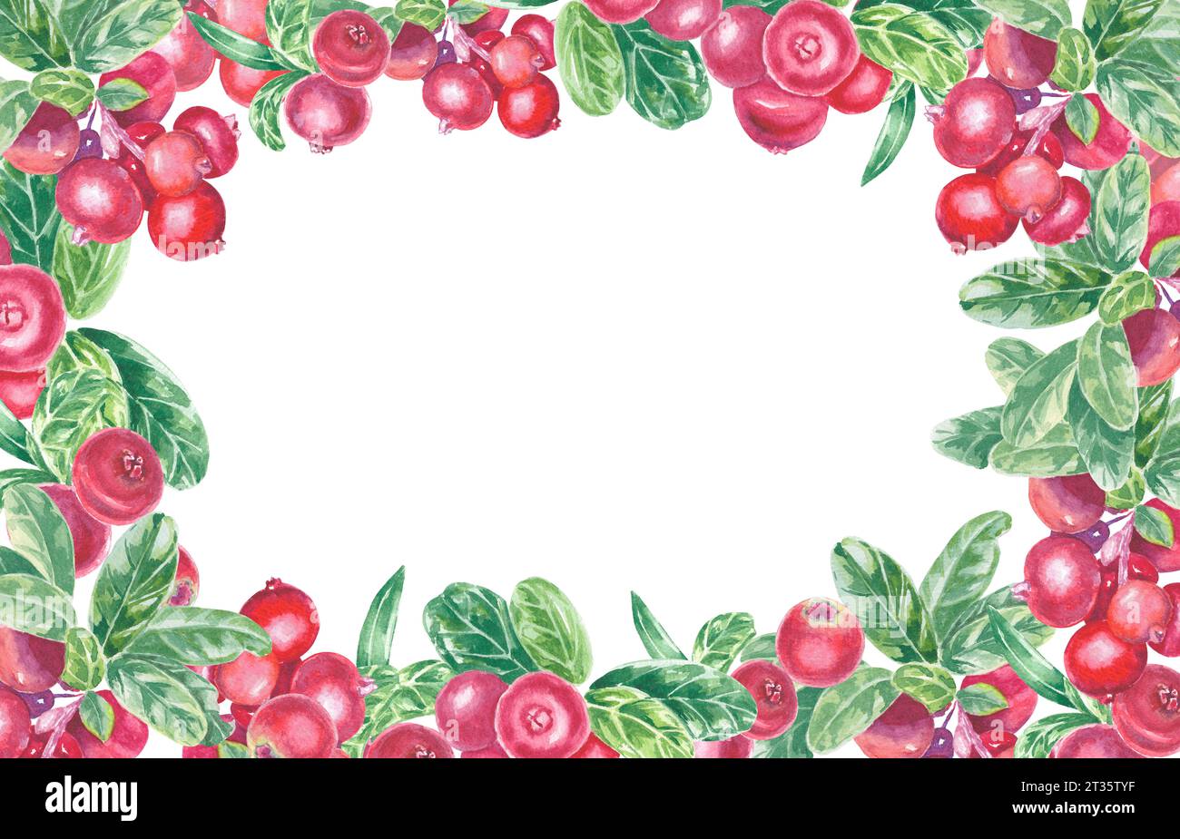 Cadre avec lingonberry rouge peint à la main, cowberry, canneberge et feuilles. Aquarelle illustration botanique élément isolé sur fond blanc. Art Banque D'Images Cadre avec lingonberry rouge peint à la main, cowberry, canneberge et feuilles. Aquarelle illustration botanique élément isolé sur fond blanc. Art Banque D'Images