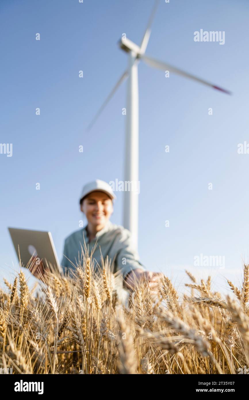 Agriculteur examinant les récoltes de blé devant l'éolienne Banque D'Images