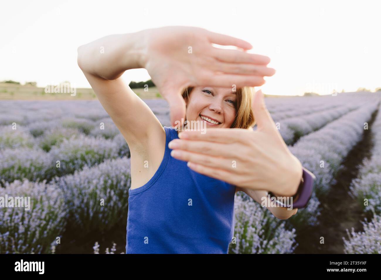 Femme souriante montrant le signe de cadre de doigt dans le champ de lavande Banque D'Images