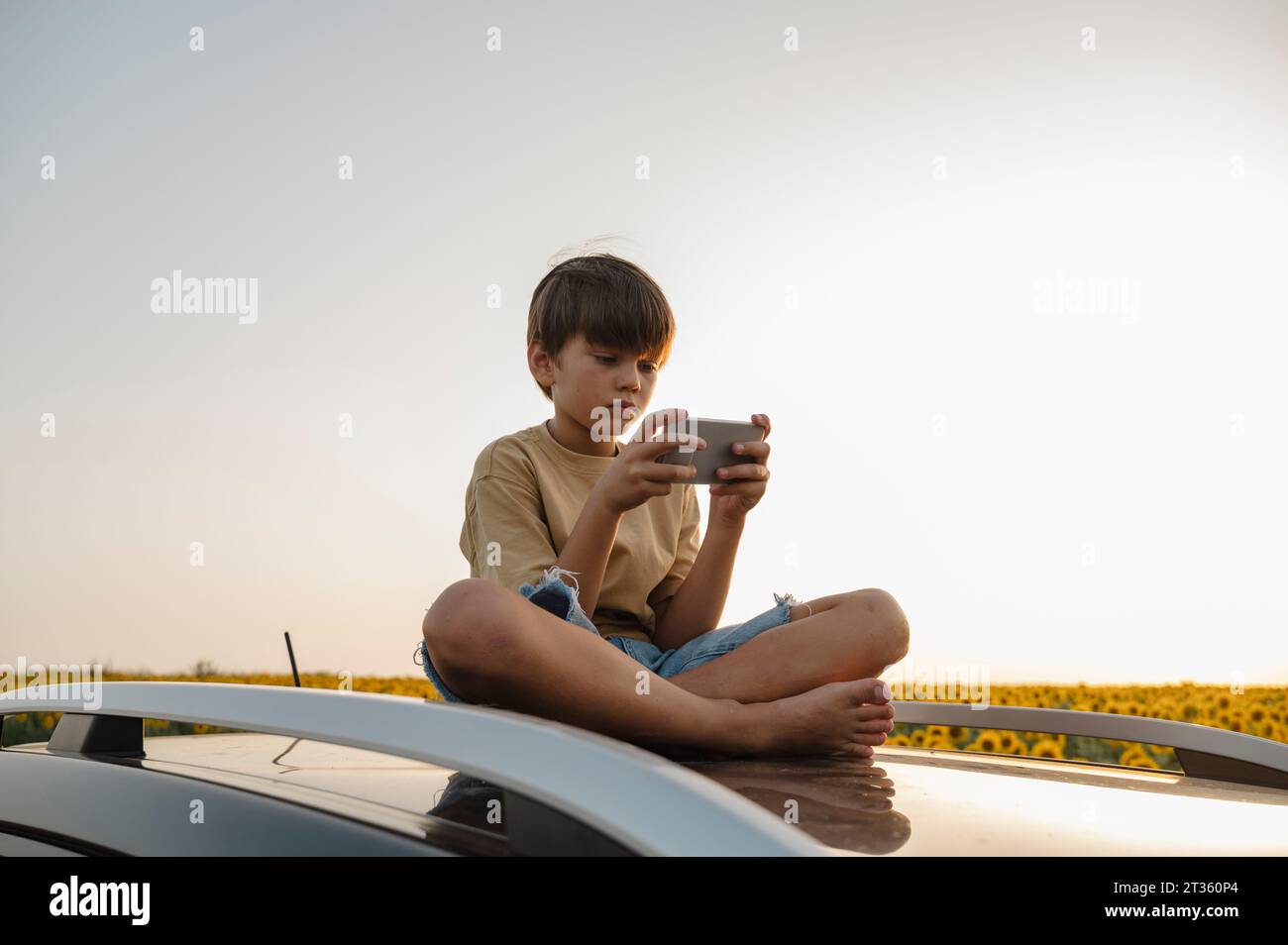 Assis sur le toit de la voiture Banque de photographies et d’images à ...