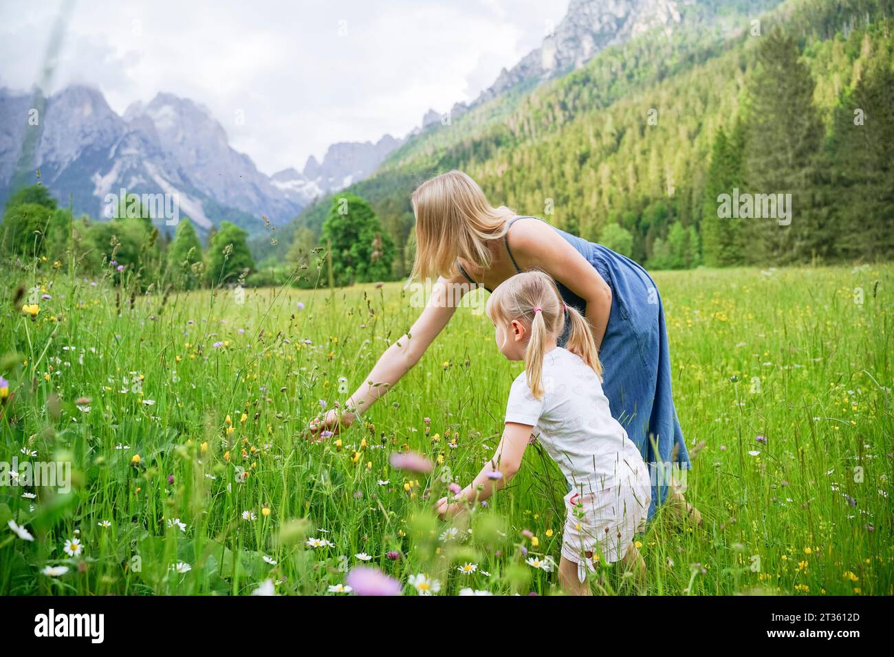 Femme cueillant des fleurs avec fille debout au milieu des plantes Banque D'Images