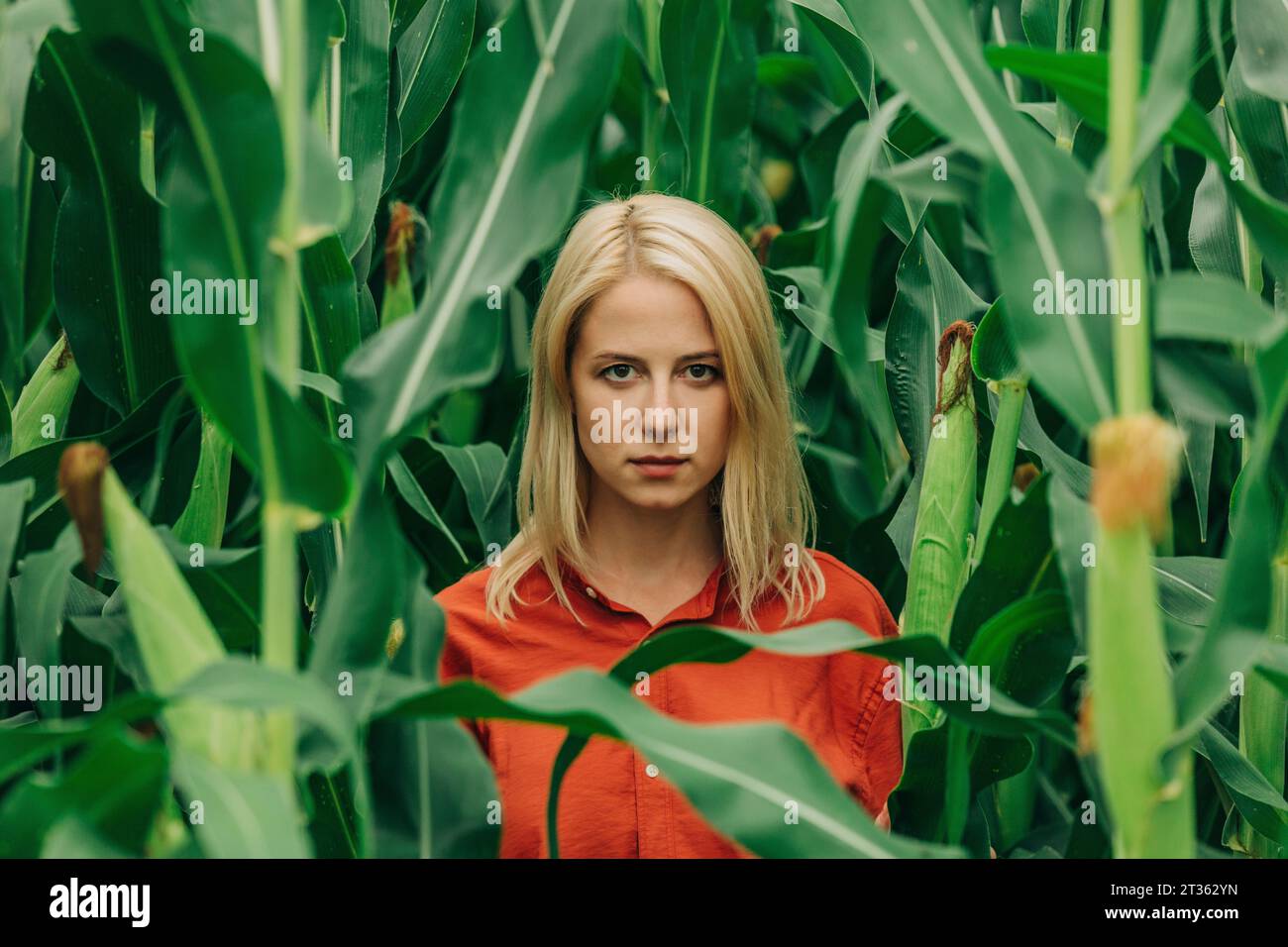 Femme aux cheveux blonds au milieu des plantes de maïs Banque D'Images