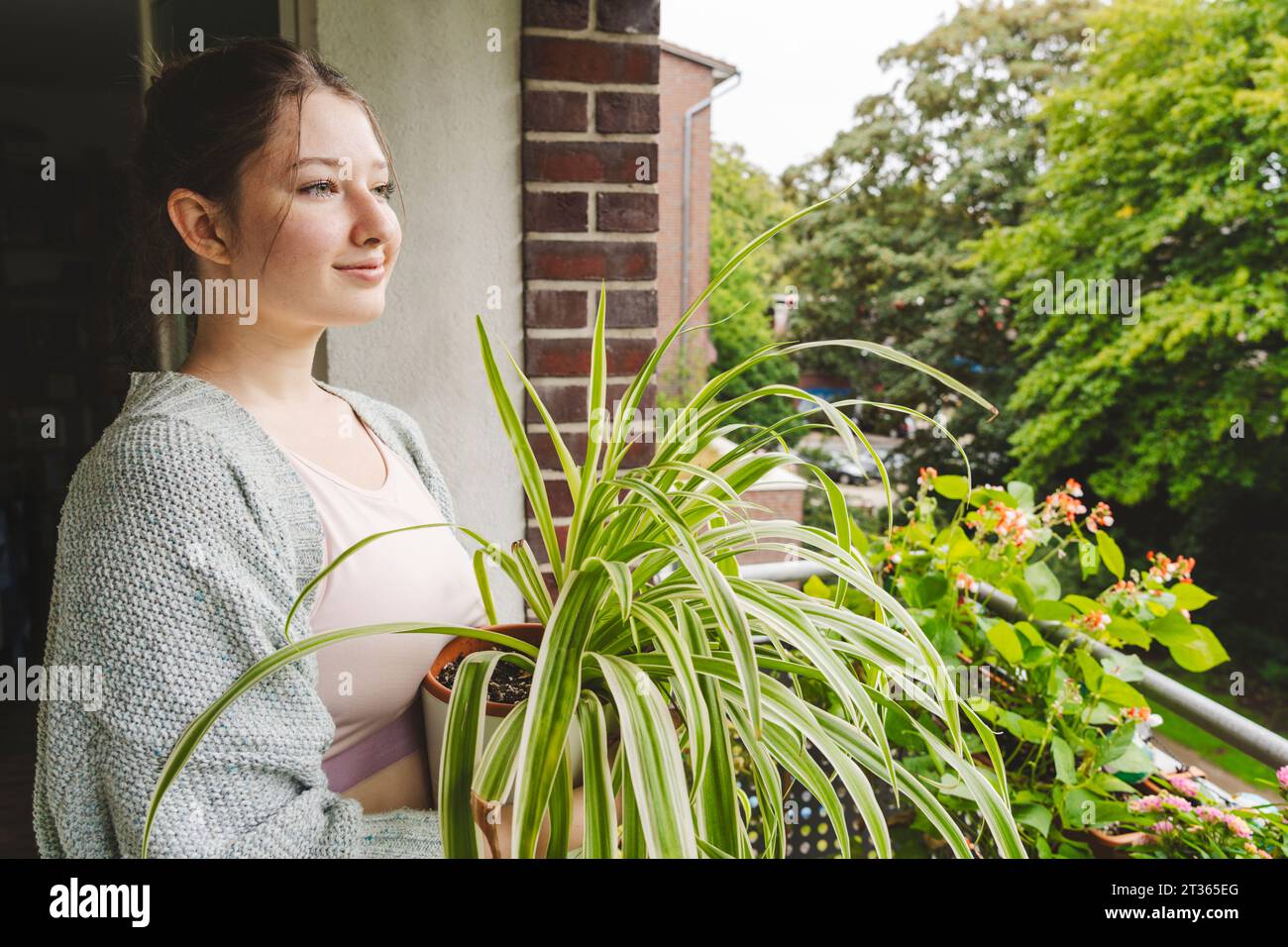 Adolescente contemplative avec plante d'araignée en pot sur le balcon Banque D'Images