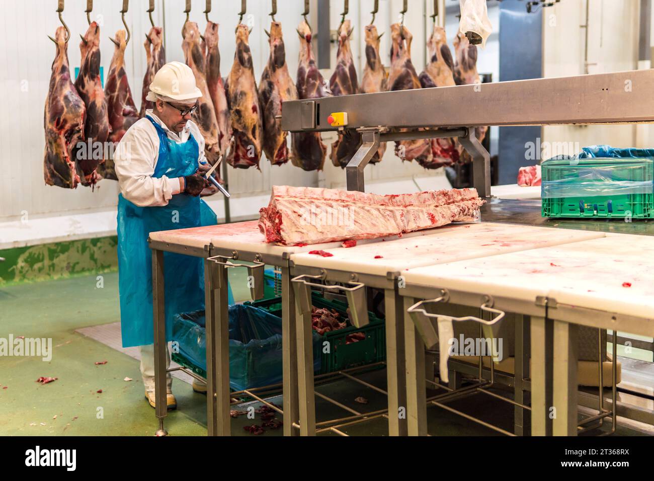 Boucher travaillant par la viande suspendue dans un abattoir frigorifique Banque D'Images