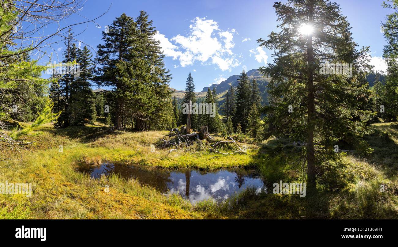 Autriche, Salzburger Land, Moor dans la vallée de Rauris Banque D'Images