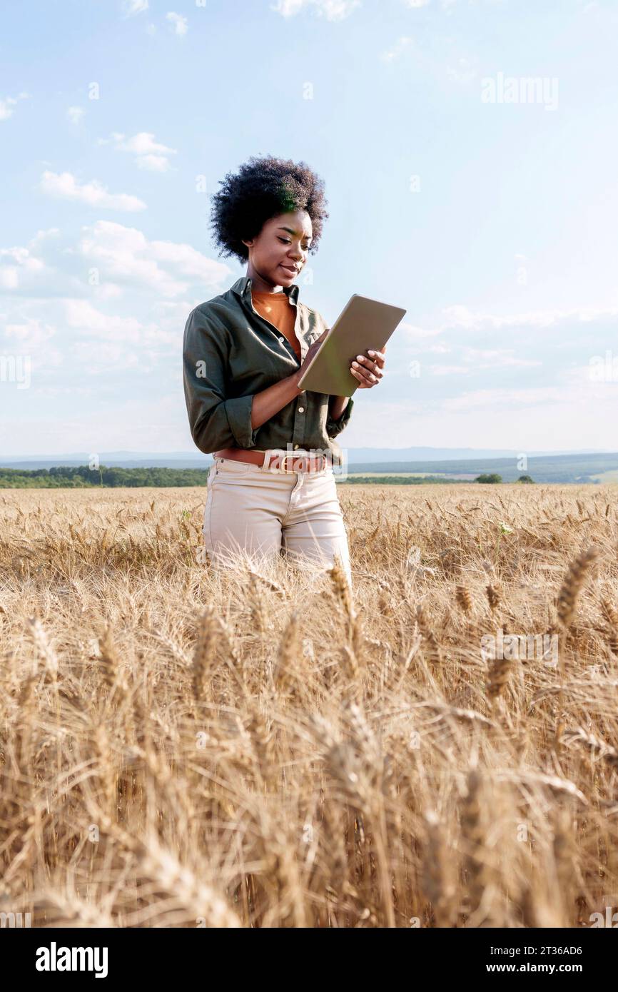 Jeune ouvrier agricole afro utilisant le tablet PC dans le champ d'orge Banque D'Images
