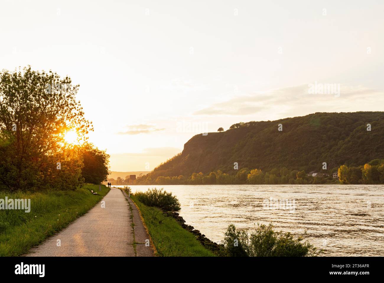 Allemagne, Rhénanie-Palatinat, Remagen, promenade du Rhin au coucher du soleil Banque D'Images