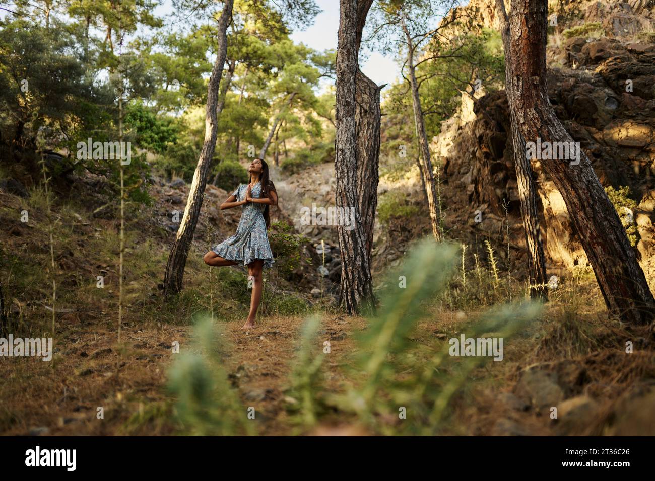Adolescente pratiquant le yoga de pose d'arbre dans la forêt Banque D'Images