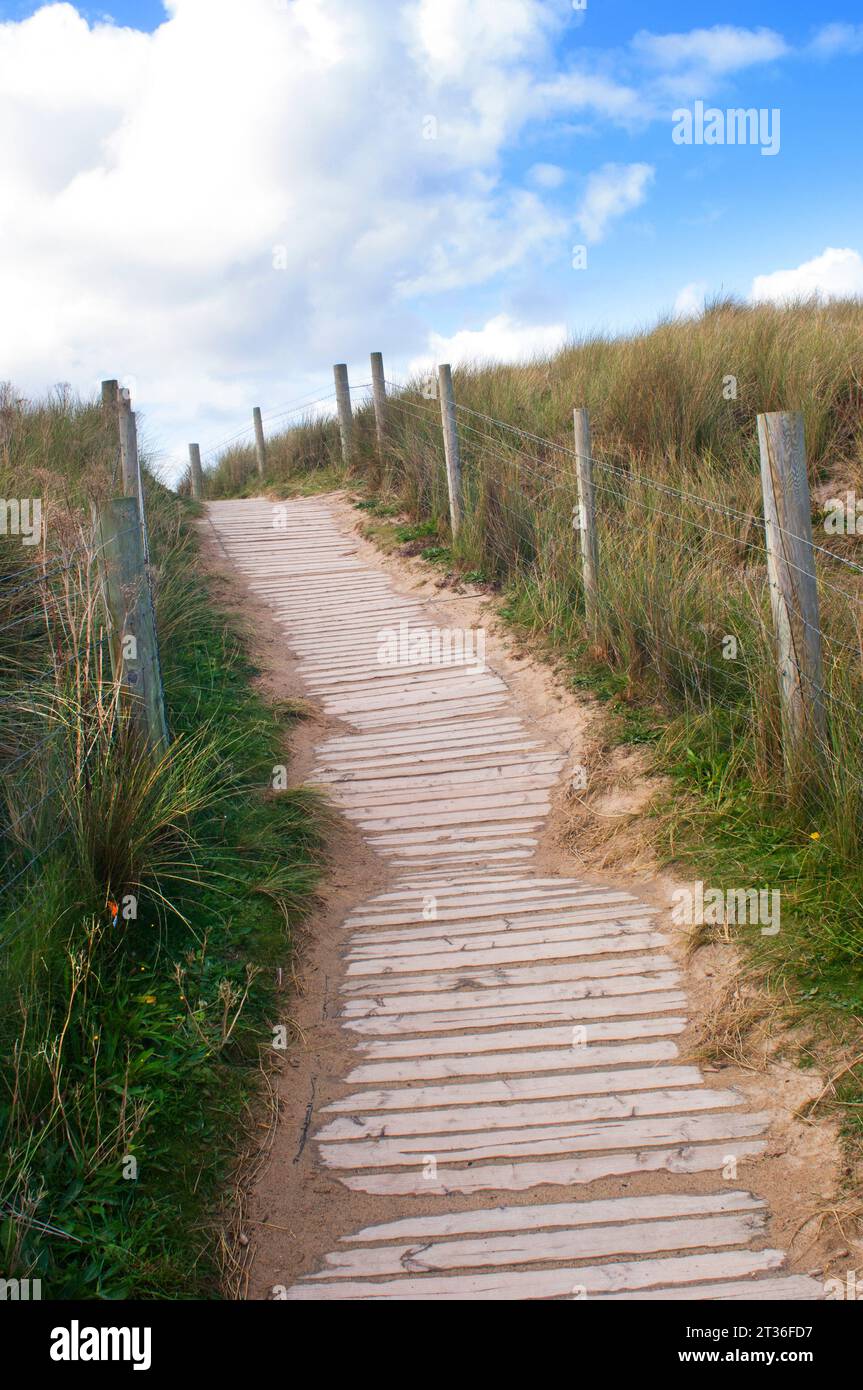 Promenade en planche de bois permettant l'accès à la plage mais protégeant les dunes et l'herbe marrame - John Gollop Banque D'Images