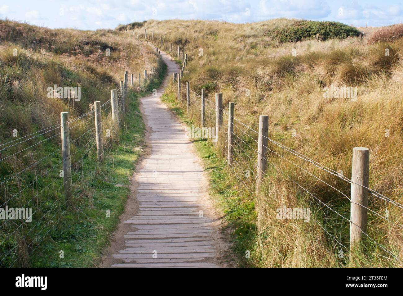 Promenade en planche de bois permettant l'accès à la plage mais protégeant les dunes et l'herbe marrame - John Gollop Banque D'Images