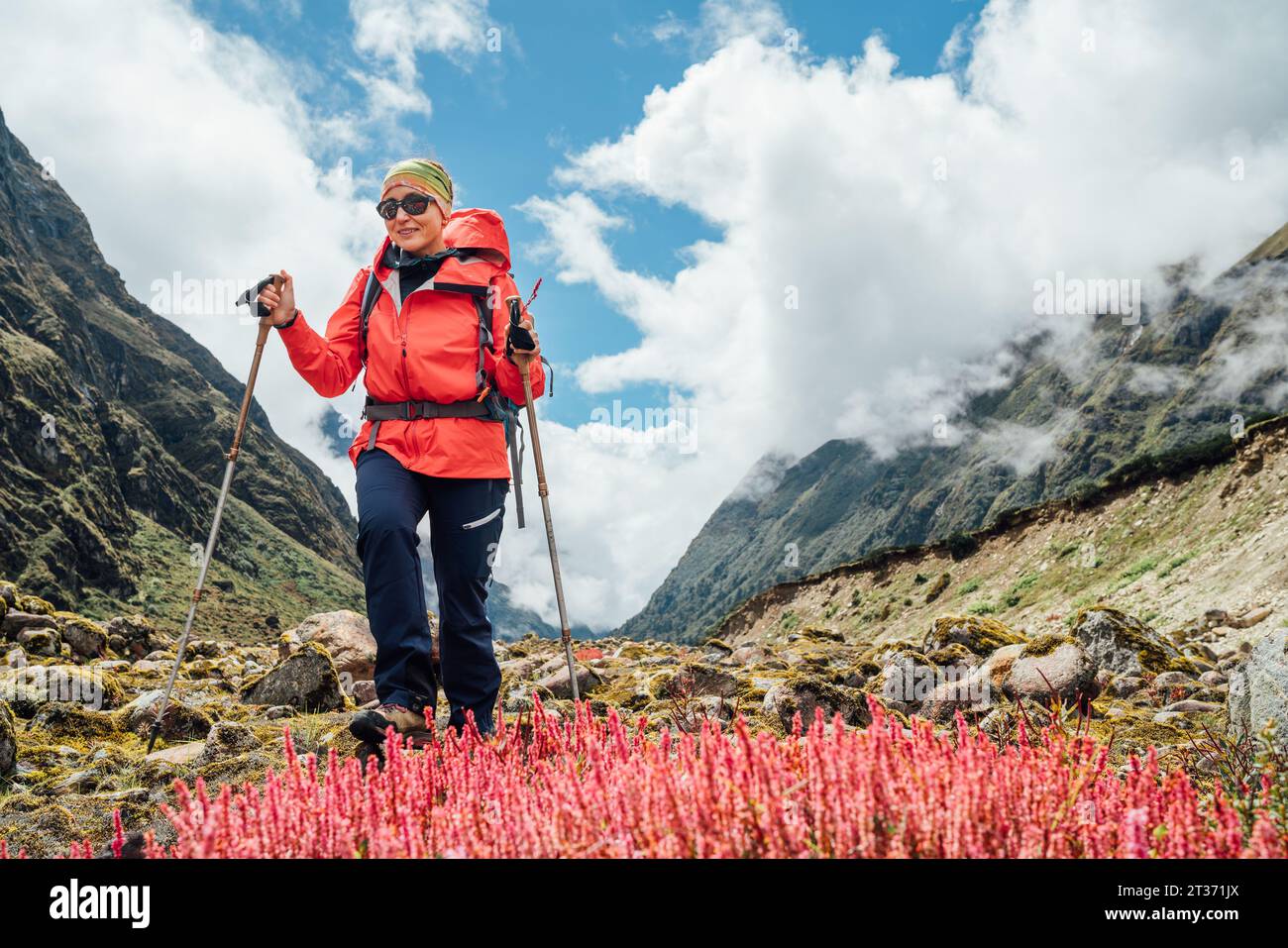 Femme en lunettes de soleil avec sac à dos et bâtons de trekking habillé rouge veste Softshell Calluna Heather plantes roses pendant Makalu Barun National Park Trek i Banque D'Images