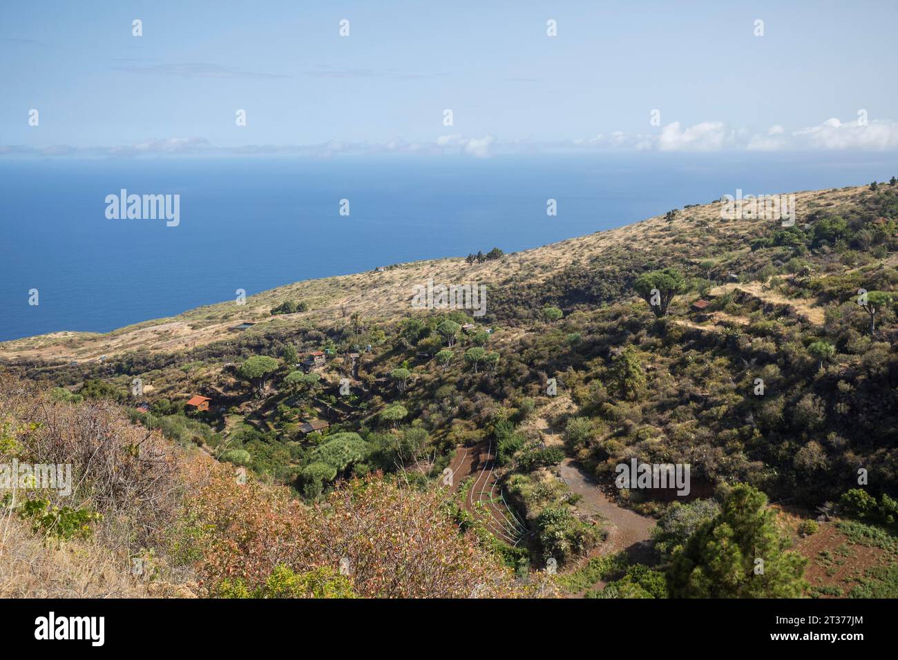 Côte nord-ouest de l'île de la Palma, Las Tricias, Espagne Banque D'Images