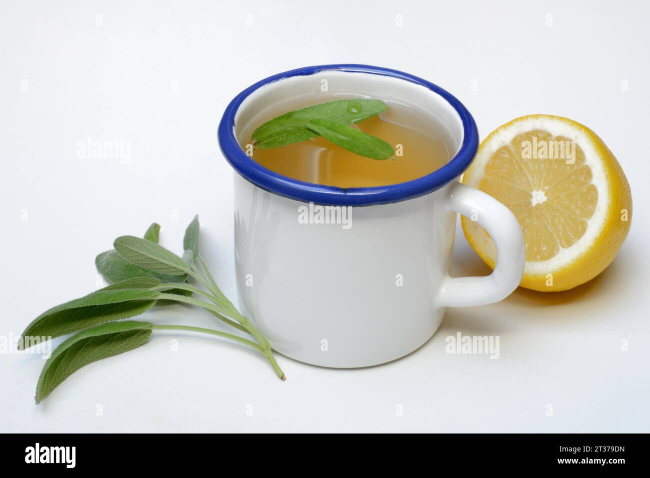 Thé à la sauge en tasse, feuilles de sauge et citron Banque D'Images