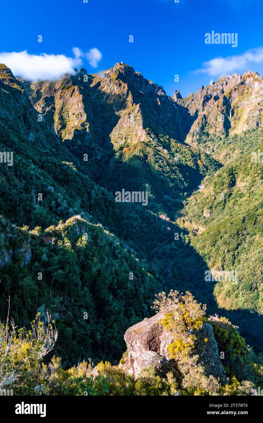 Vue sur la chaîne de montagnes depuis le point de vue, Ribeiro Frio, l'île de Madère, Portugal Banque D'Images