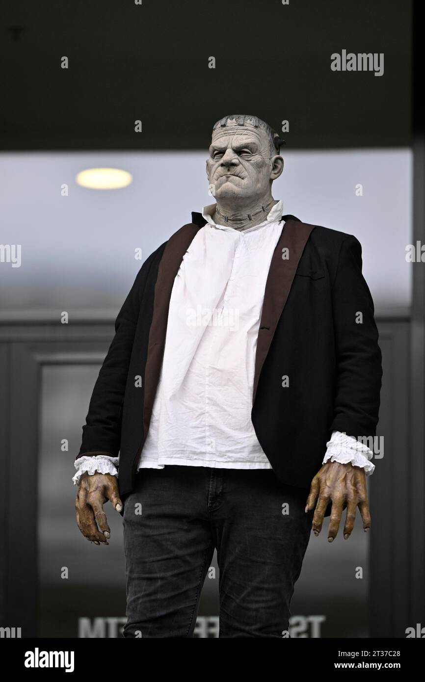 Monstre de Frankenstein, déguisement, déguisé, effrayant, horreur, halloween, costume, costumes, tribune, PreZero Arena, Sinsheim, Baden-Wuerttemberg Banque D'Images