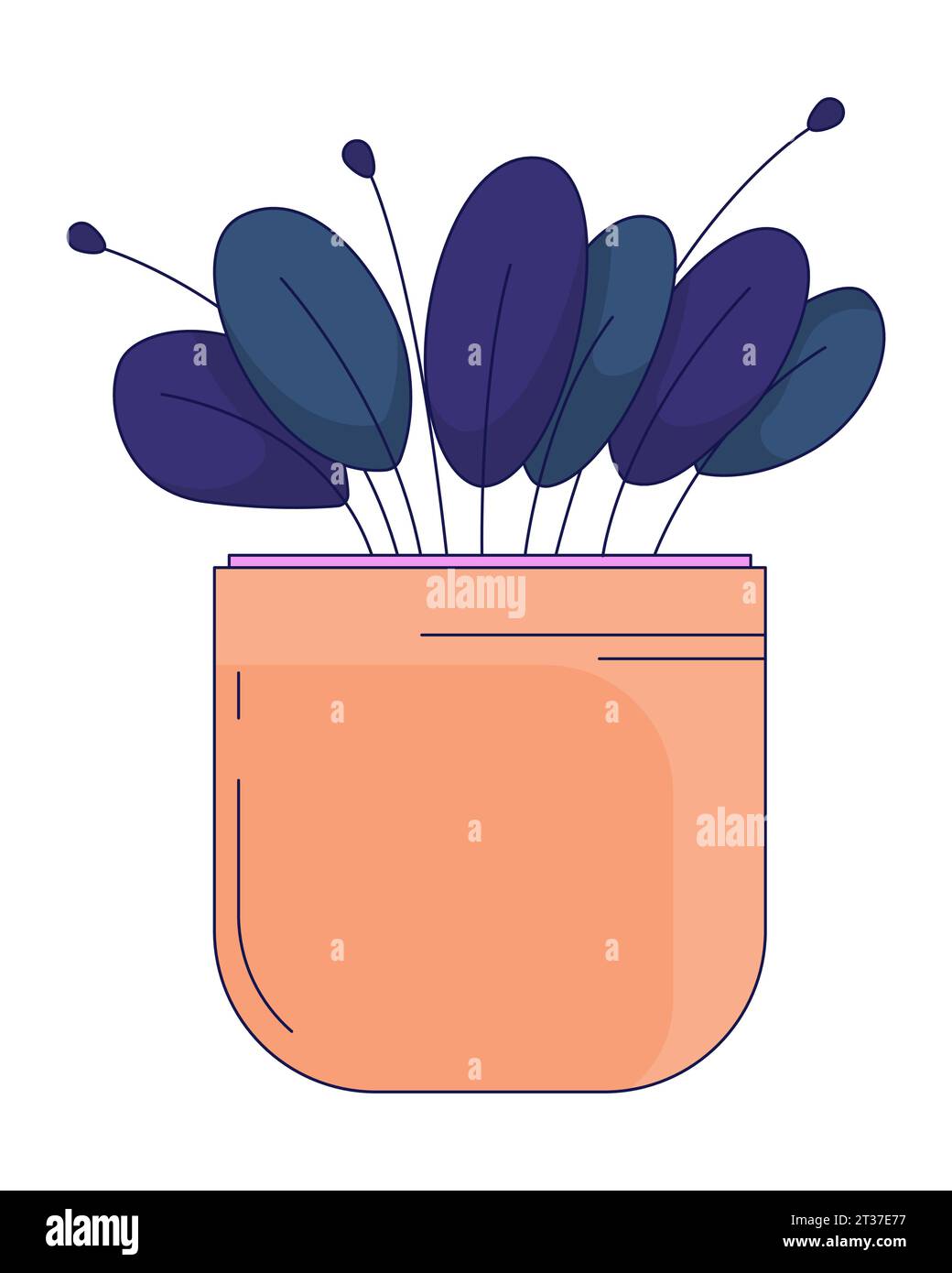 Peperomia plante en pot objet de dessin animé linéaire 2D. Illustration de Vecteur